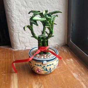 GET LUCKY BAMBOO PLANT ARTFORM COLLECTIBLES #93 OBJECT ART ENAMEL CRYSTAL TRINKE